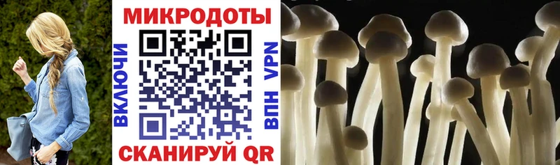 Псилоцибиновые грибы MAGIC MUSHROOMS  как найти   OMG сайт  Апатиты 